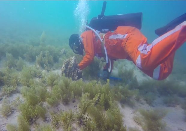 太阳GG·(中国区)官方网站