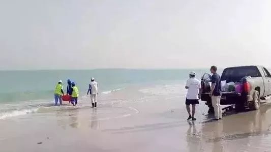 太阳GG·(中国区)官方网站