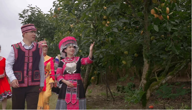 太阳GG·(中国区)官方网站