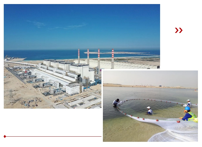 太阳GG·(中国区)官方网站