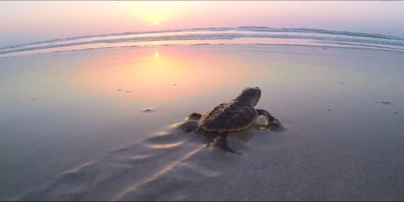 太阳GG·(中国区)官方网站