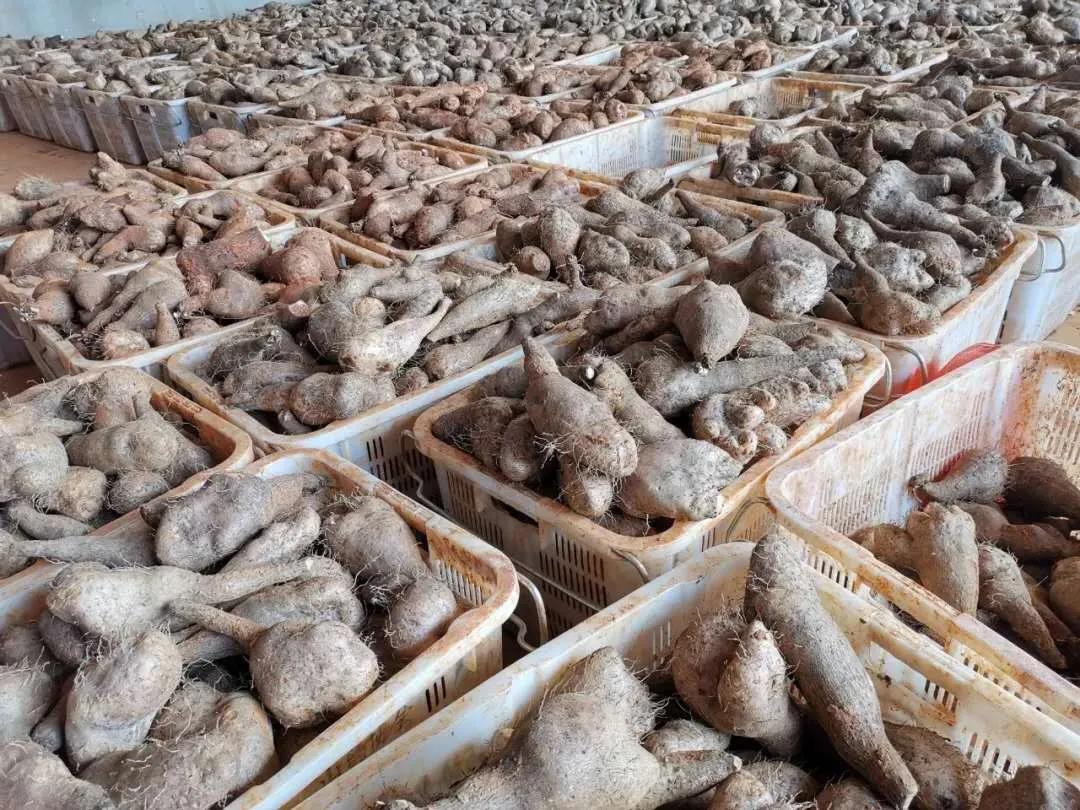 太阳GG·(中国区)官方网站