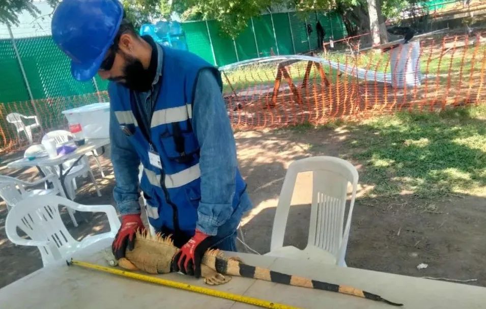 太阳GG·(中国区)官方网站