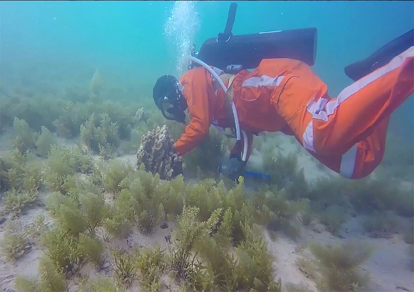 太阳GG·(中国区)官方网站