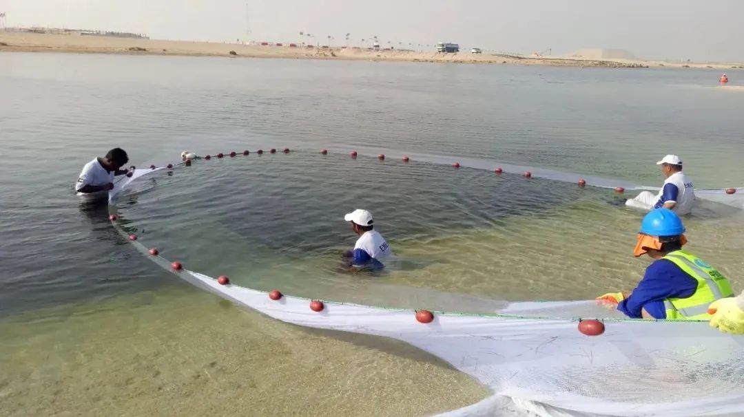 太阳GG·(中国区)官方网站