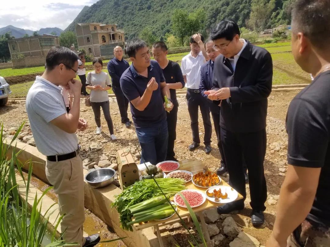 太阳GG·(中国区)官方网站