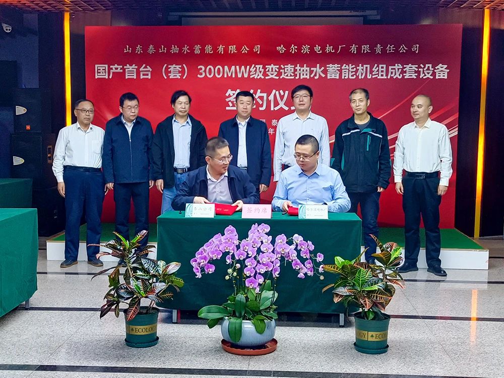 太阳GG·(中国区)官方网站