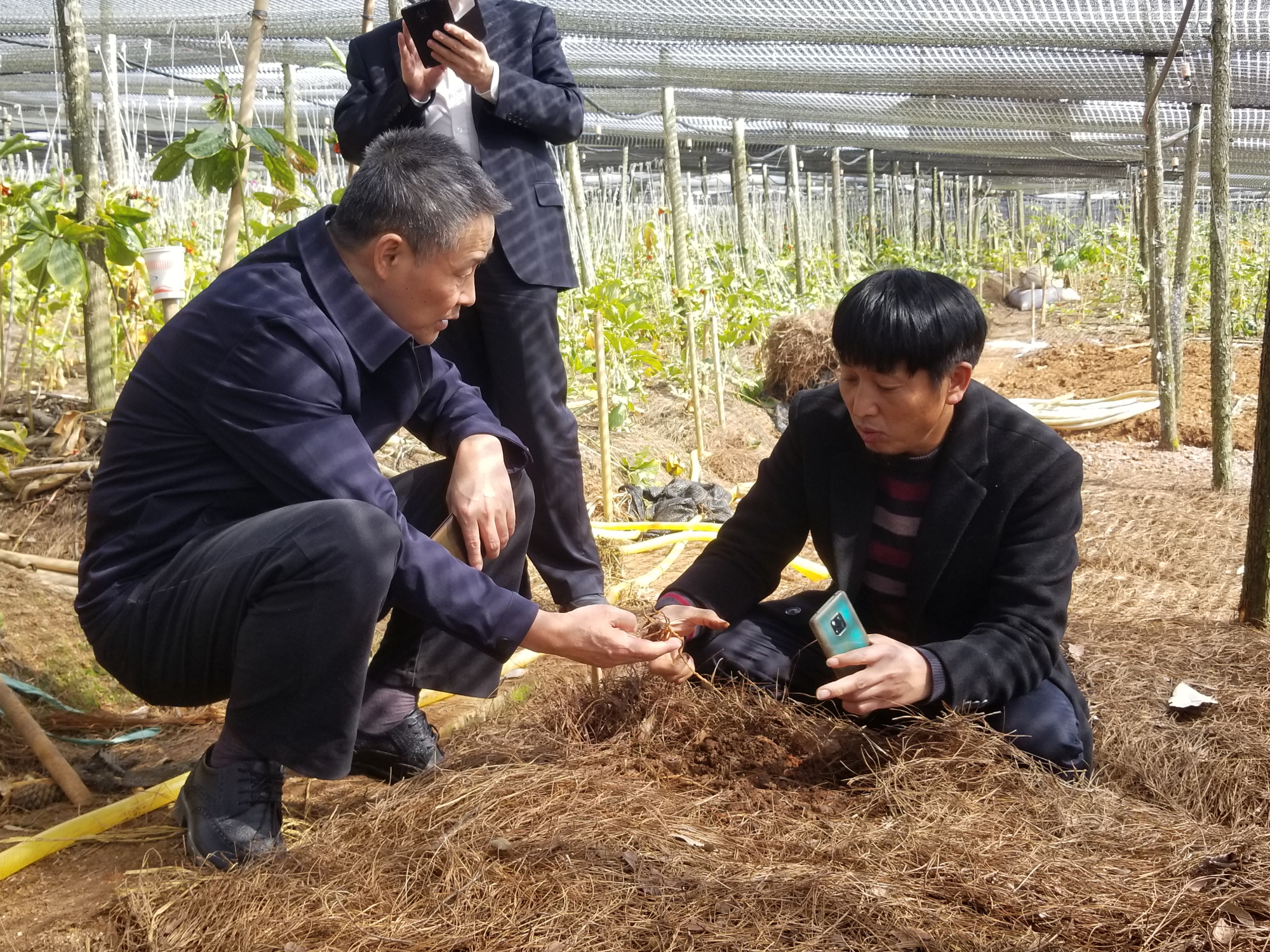 太阳GG·(中国区)官方网站