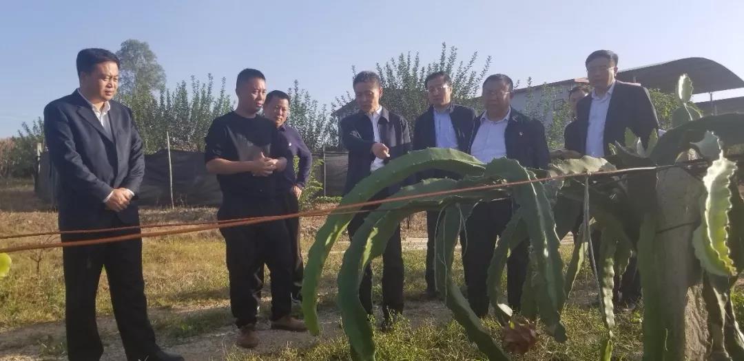 太阳GG·(中国区)官方网站