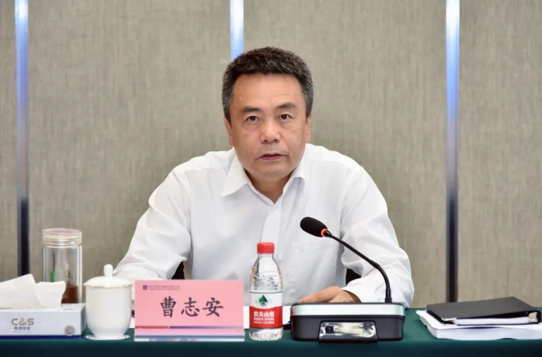 太阳GG·(中国区)官方网站