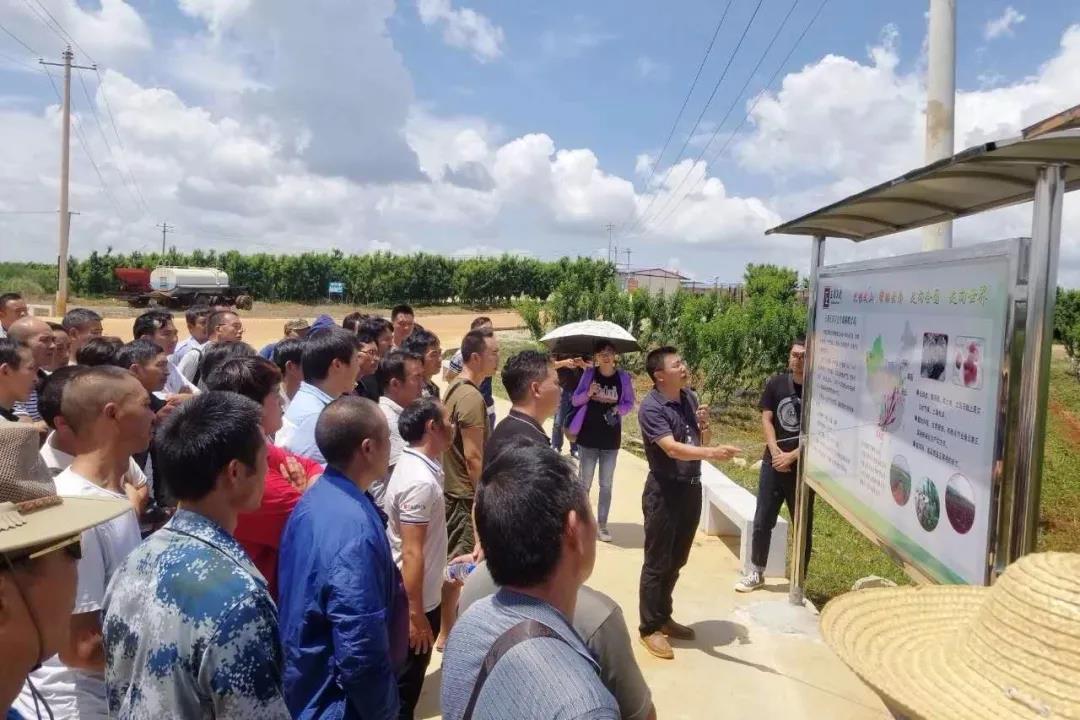 太阳GG·(中国区)官方网站