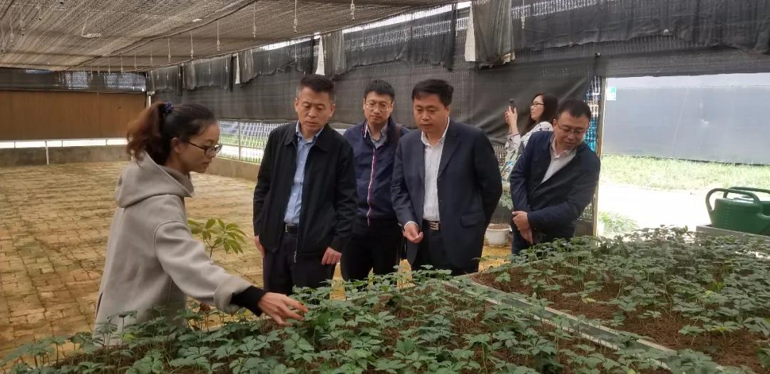 太阳GG·(中国区)官方网站