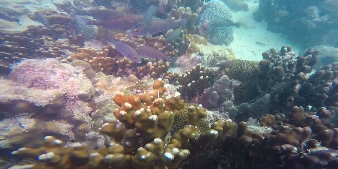 太阳GG·(中国区)官方网站