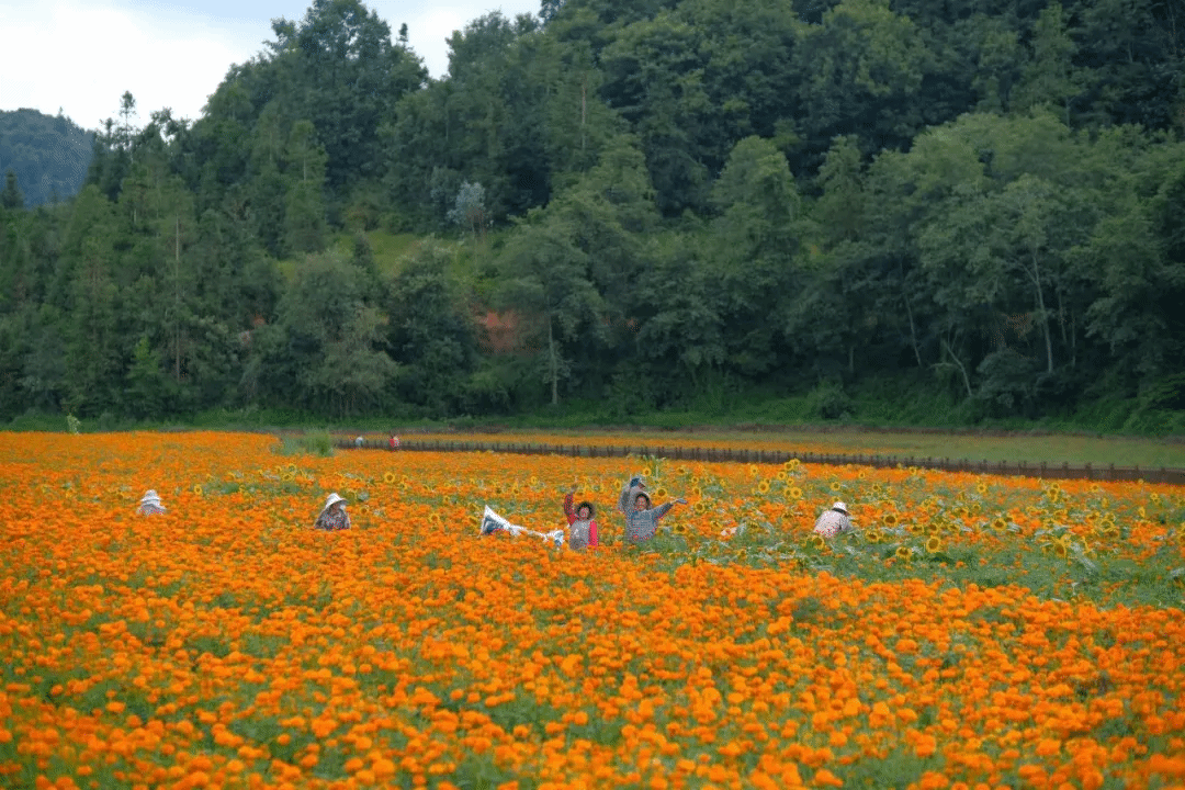 太阳GG·(中国区)官方网站