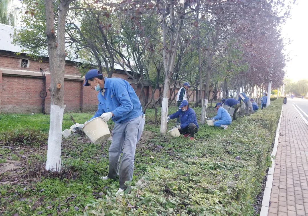 太阳GG·(中国区)官方网站