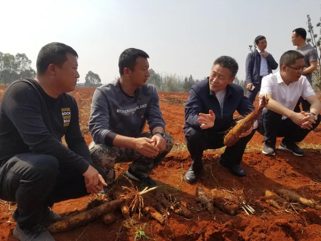 太阳GG·(中国区)官方网站