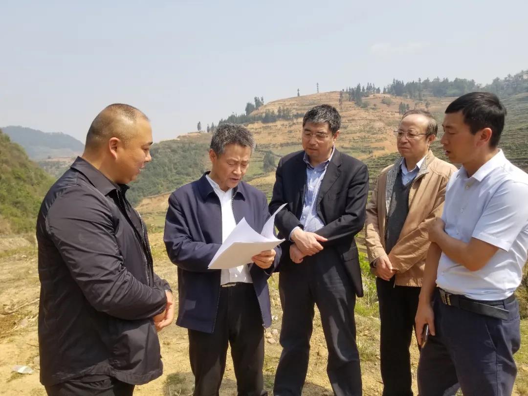 太阳GG·(中国区)官方网站