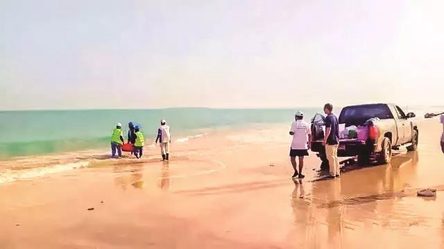 太阳GG·(中国区)官方网站