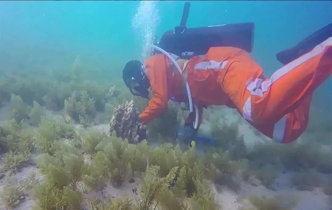 太阳GG·(中国区)官方网站